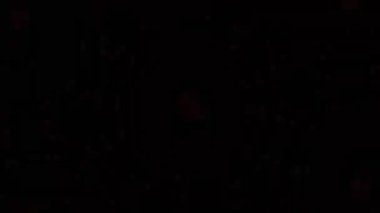 Psikedelik Kaleydoskop Patlaması simetrik kaleydoskop şekilleri patlıyor ve canlı renklerle beatendly döngülerde şekil değiştiriyor