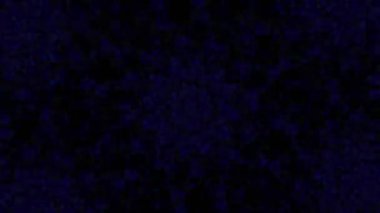 Psikedelik Kaleydoskop Patlaması simetrik kaleydoskop şekilleri patlıyor ve canlı renklerle beatendly döngülerde şekil değiştiriyor