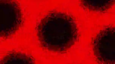 Psikedelik Kaleydoskop Patlaması simetrik kaleydoskop şekilleri patlıyor ve canlı renklerle beatendly döngülerde şekil değiştiriyor