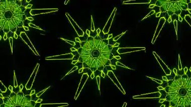 Psychedelic Kaleidoscope Burst Symmetric kaleidoscope shapes bursting and morphing with vibrant colors on beatfriendly loops