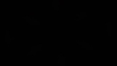 Psikedelik Kaleydoskop Patlaması simetrik kaleydoskop şekilleri patlıyor ve canlı renklerle beatendly döngülerde şekil değiştiriyor