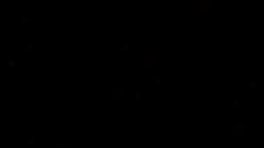 Psikedelik Kaleydoskop Patlaması simetrik kaleydoskop şekilleri patlıyor ve canlı renklerle beatendly döngülerde şekil değiştiriyor