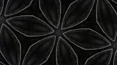 Psikedelik Kaleydoskop Patlaması simetrik kaleydoskop şekilleri patlıyor ve canlı renklerle beatendly döngülerde şekil değiştiriyor