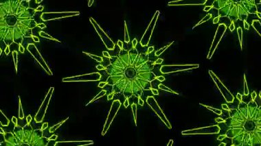 Psychedelic Kaleidoscope Burst Symmetric kaleidoscope shapes bursting and morphing with vibrant colors on beatfriendly loops