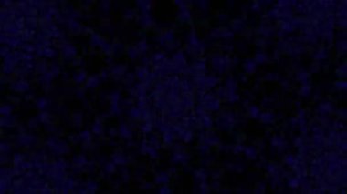 Psikedelik Kaleydoskop Patlaması simetrik kaleydoskop şekilleri patlıyor ve canlı renklerle beatendly döngülerde şekil değiştiriyor