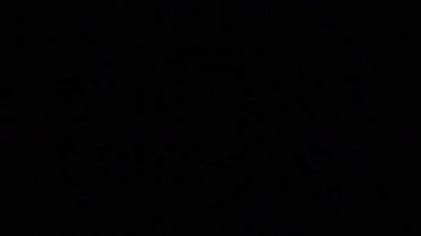 Psikedelik Kaleydoskop Patlaması simetrik kaleydoskop şekilleri patlıyor ve canlı renklerle beatendly döngülerde şekil değiştiriyor