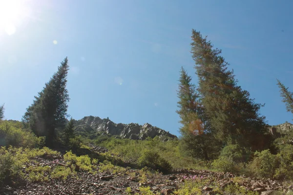 Turgen dağ geçidi 5