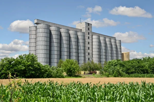 Cornfield et silos — Photo