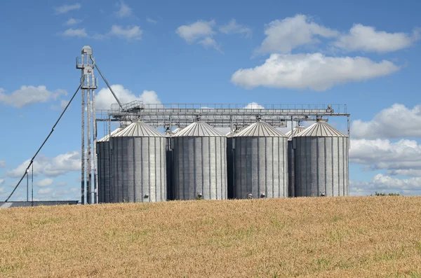 Weizenfeld und Silos — Stockfoto