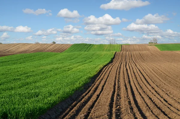 Terres agricoles cultivées en Europe — Photo