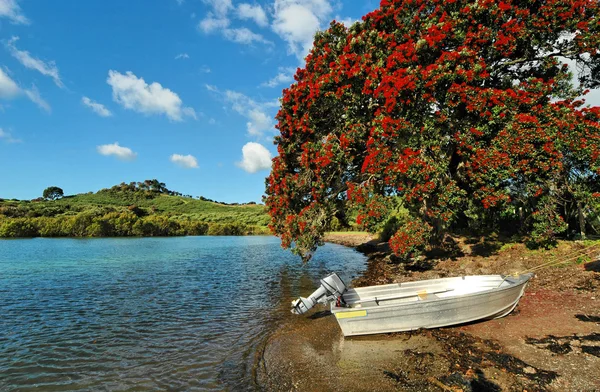 Motorlu tekne ve Pohutukawa ağaç — Stok fotoğraf