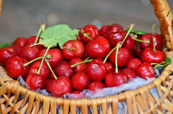 Sweet cherries in the basket — Stock Photo, Image