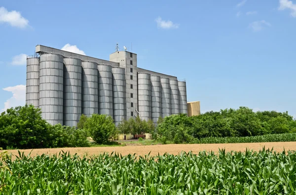 Cornfield en silo 's — Stockfoto