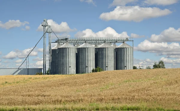 Campo di grano e silos — Foto Stock