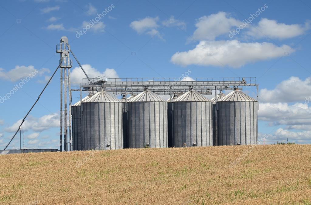 Wheat field and silos — Stock Photo © zvonce 119405956