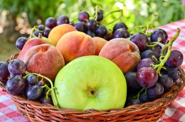 taze karışık meyve