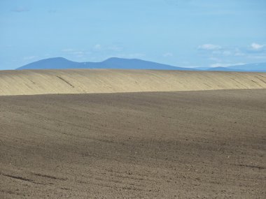 Erken baharda sürülmüş alanlar