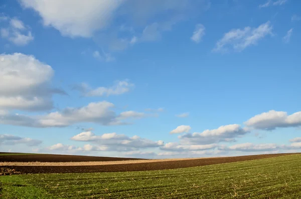 Terres agricoles cultivées — Photo