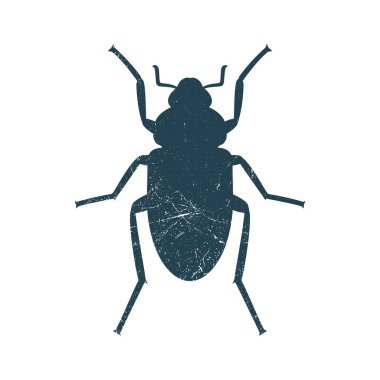 Böcek Hataları Böcek Silüeti Çizim Vektörü Şablonu