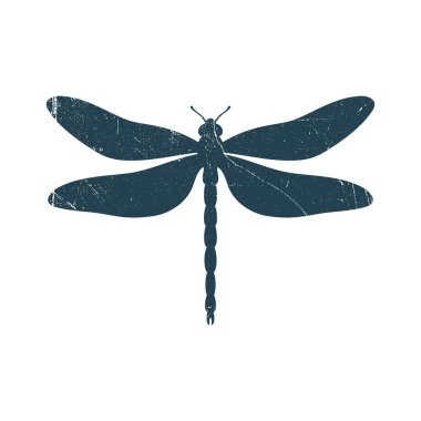 Yusufçuk Böceği Silüeti Çizim Vektörü Şablonu