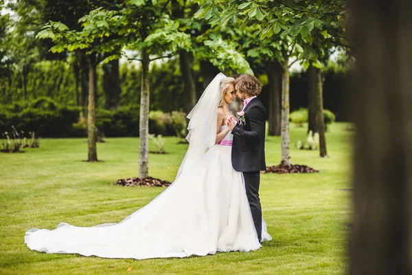 Menyasszony és a vőlegény pózol együtt — Stock Fotó