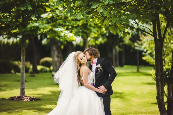 Bruid en bruidegom samen poseren — Stockfoto