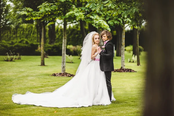 Braut und Bräutigam posieren gemeinsam — Stockfoto