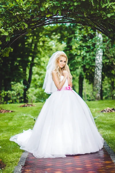 Элегантная поза невесты — стоковое фото