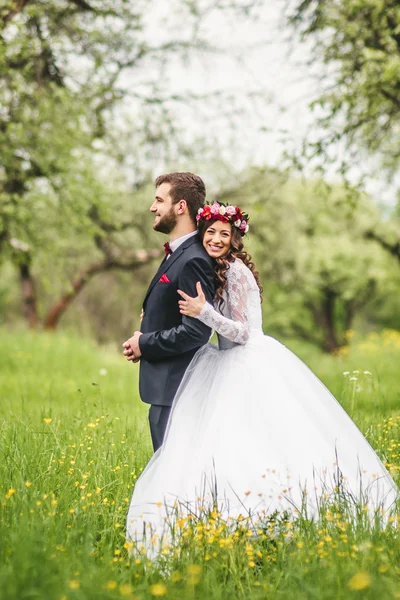 Wedding walk on nature — Stock Photo, Image