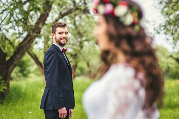 Wedding walk on nature — Stock Photo, Image