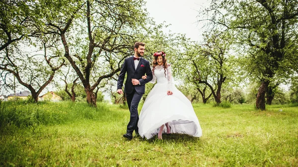 Caminhada de casamento na natureza — Fotografia de Stock