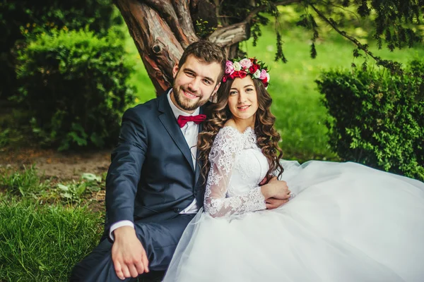 Braut & Bräutigam neben altem Baum — Stockfoto