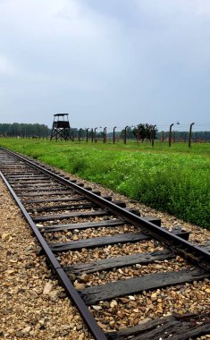 Auschwitz, Polonya 'da 20 Ağustos 2022' de çekilen fotoğrafta kampın ana girişine uzanan iki paralel demiryolu hattı görülüyor.. 