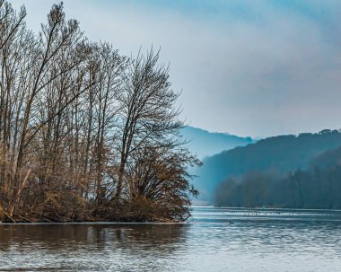 Arka planda çıplak ağaçlar, sakin sular ve sisli tepelerle dolu huzurlu bir nehir kenarı manzarası, doğal sükunet ve kopyalama alanı sunuyor..