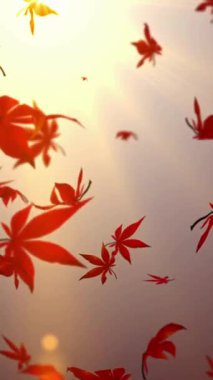 Sonbahar Ormanı Akçaağaç yaprakları