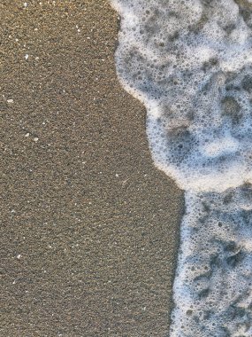 Yumuşak okyanus dalgaları kumlu bir plaja yuvarlanarak kıyı şeridi boyunca köpüklü köpükler oluşturur. Sahne, deniz kenarında sakin bir sabahın sükunetini yakalıyor.