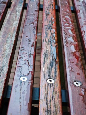 Yüzeyinde su damlacıkları bulunan bir bankın ıslak ahşap çıtaları aşınma izleri gösteriyor. Yağmur fırtınasından sonra park sessiz, sakin bir atmosfer yaratıyor.