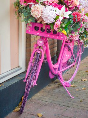 A vibrant pink bicycle filled with an array of flowers leans against a pastel-colored wall. It's early morning, showcasing the beauty of nature and charm of the location
