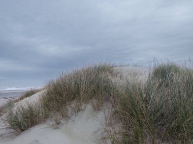 Kıyı şeridi boyunca uzanan kumlu kumullar yavaşça yükseliyor, uzun otlarla kaplı. Bulutlu gökyüzü bu kıyı bölgesinde sakin ve rahatlatıcı bir atmosfer yaratıyor.