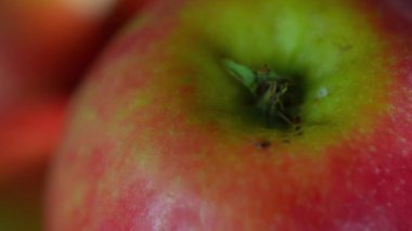 Apple Close-Up 4K Yavaş Hareket Videosu