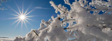 Canlı bir kış sahnesi, karla kaplı dalların parlak bir güneşe doğru uzandığını ve derin mavi gökyüzüne karşı bir yıldız patlaması etkisi yarattığını gösteriyor. Kış, doğa, açık hava ve mevsimlik görüntüler için idealdir.