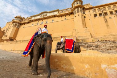 Decorated Indian elephants used for tourist ride at the historic Amer Fort Jaipur