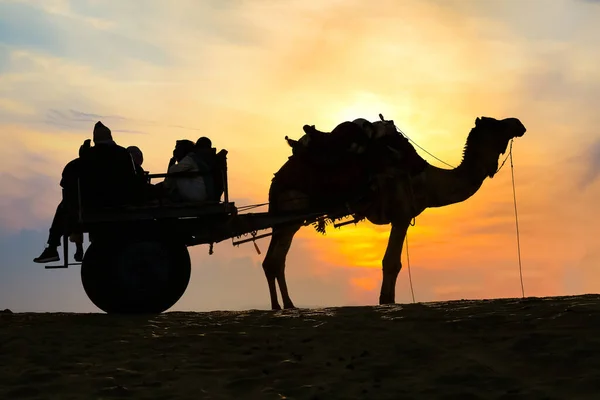 Kamelkarren Mit Touristen Der Silhouette Bei Sonnenuntergang Der Wüste Thar — Stockfoto