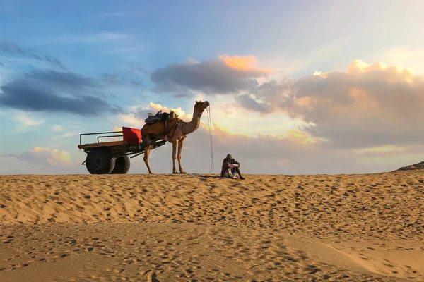 Carrinho Camelo Com Homem Deserto Esperando Turistas Deserto Thar Jaisalmer — Fotografia de Stock