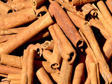 Tarçın verumu veya Seylan tarçın kurutulmuş kabuk görüntüsü