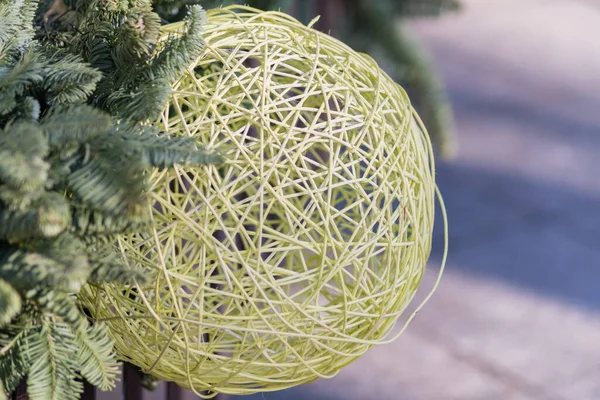 dry twigs rolled in a ball. Green rattan ball on spruce tree