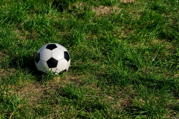 fotball or soccer black and white ball on green grass background.