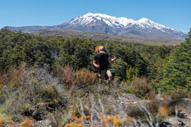 Tongariro Kuzey Pisti 'ndeki çalılıklarda ağır bir sürüyle yürüyen bir erkek yürüyüşçünün ön görüntüsü. Arka planda kar kaplı Ruapehu Dağı görünüyor. Güneşli bir günde Yeni Zelanda 'da çekildi
