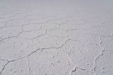 Salar de Uyuni 'nin çatlak, altıgen tuz kabuğunun soyut dokusunu yakından çek. Beyaz, kaba, tanecikli yüzey mükemmel bir jeolojik arkaplan sağlar. Minimalist stil.