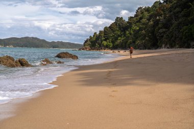 Altın bir kumsalda yürüyen bir erkek yürüyüşçünün uzak arka görüntüsü arkasında ayak izleri bırakıyor. Yeni Zelanda 'nın Abel Tasman Sahili Pisti kıyısında doğal orman sıralanır. Huzurlu kıyı manzarası.